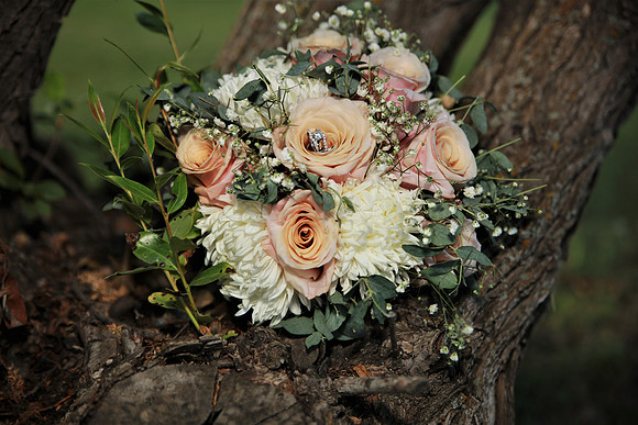 Reception-44